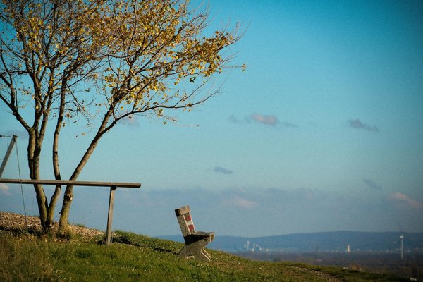 Idées de collations paléo pour rester rassasié entre les repas