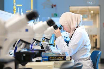 Bilharziose : comprendre les enjeux et les traitements disponibles